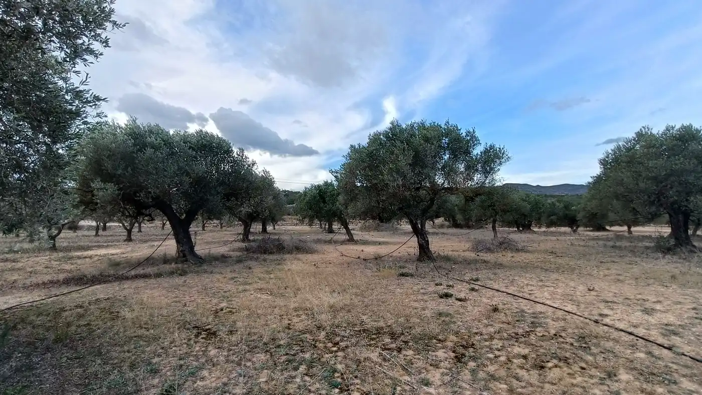 Terrain rustique à vendre à Rasquera, imagen 12