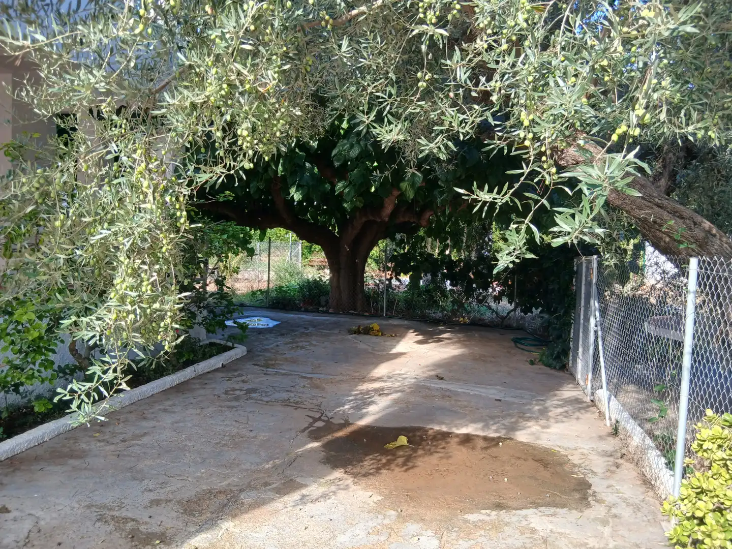 Casa o chalet de alquiler en Hespèrides, 7, Alcanar