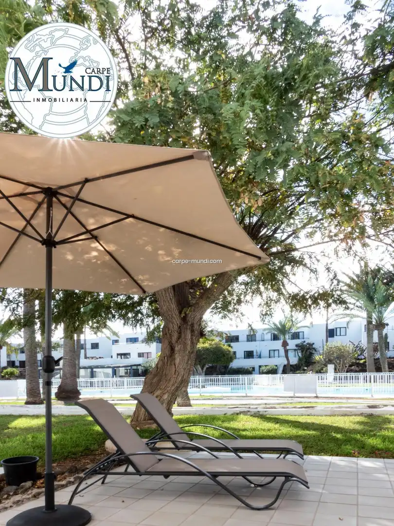 Terrassa de Apartament en venda en La Oliva amb Terrassa i Piscina comunitària