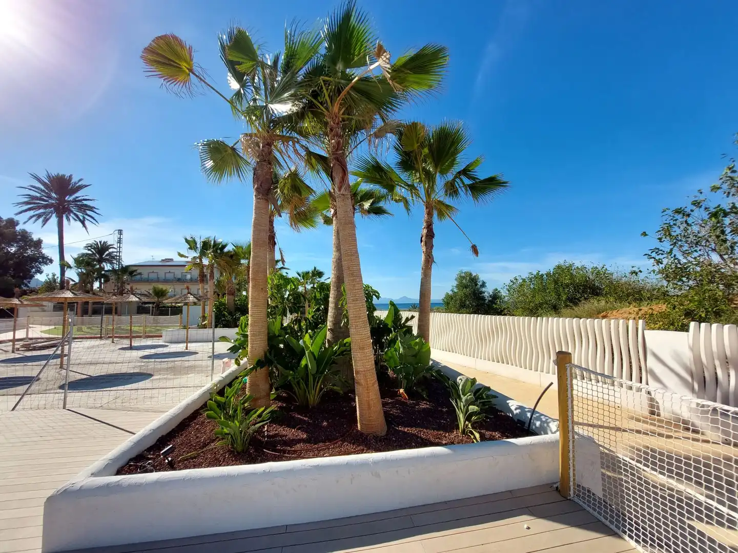 Terrace of Apartments for sale in Dénia  with Terrace and Community pool