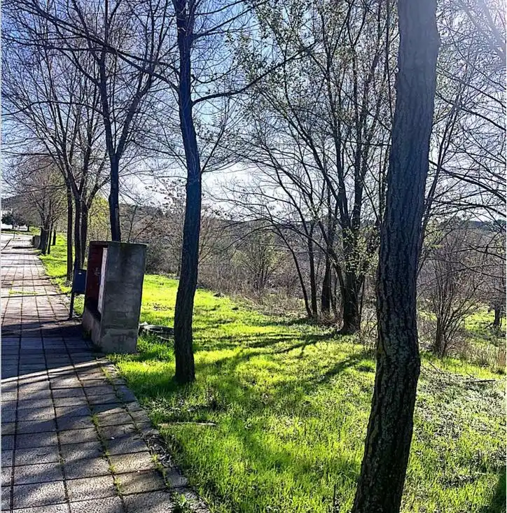 Residential land for sale in SP.P.P.12, imagen 8