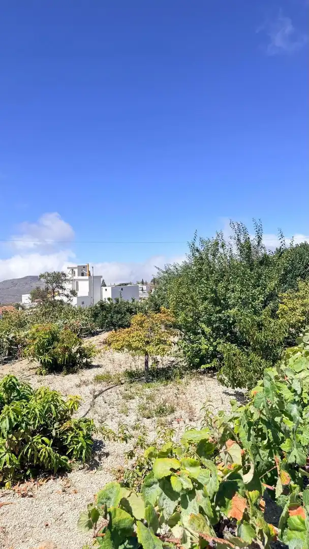 Finca rústica en venta en Arona pueblo