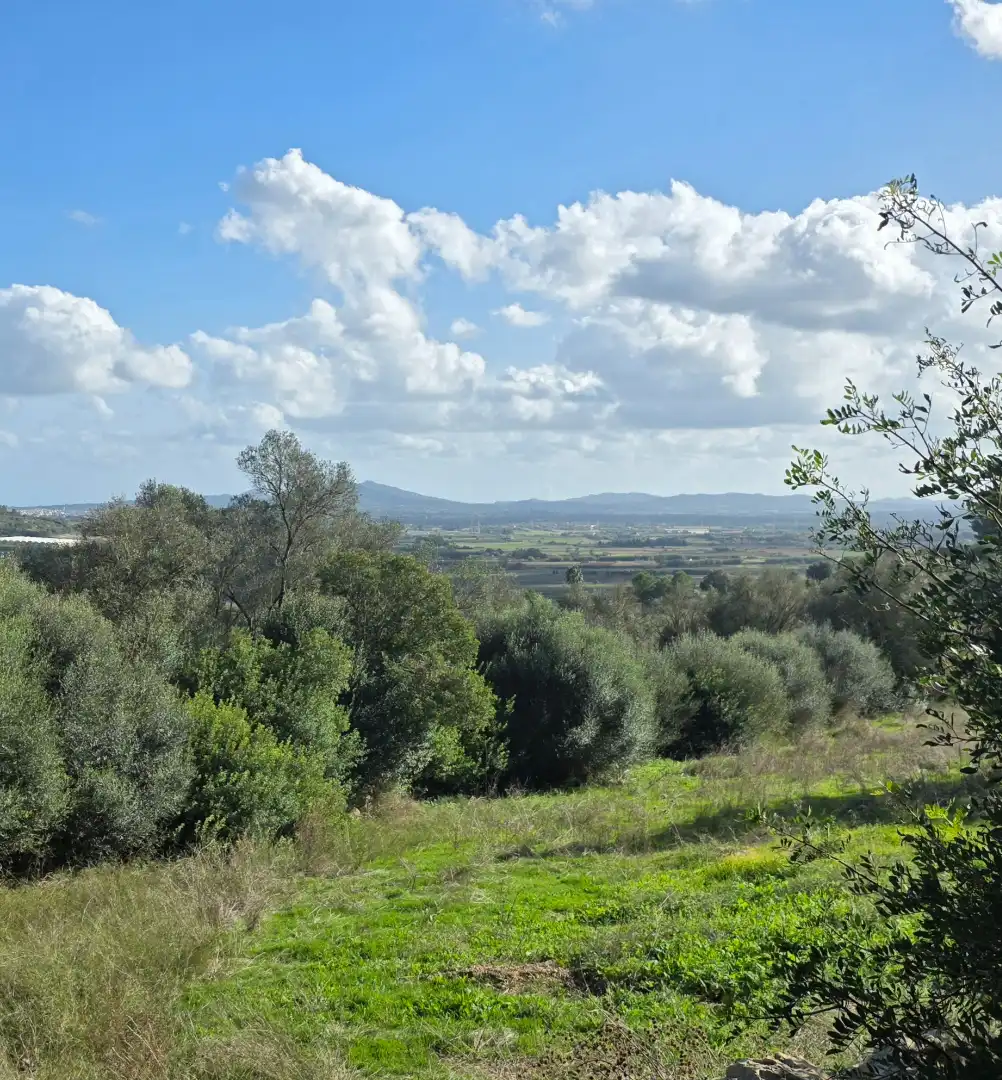 Rustikales Grundstück zum Verkauf in Camí de Son Dalmau 2, imagen 5