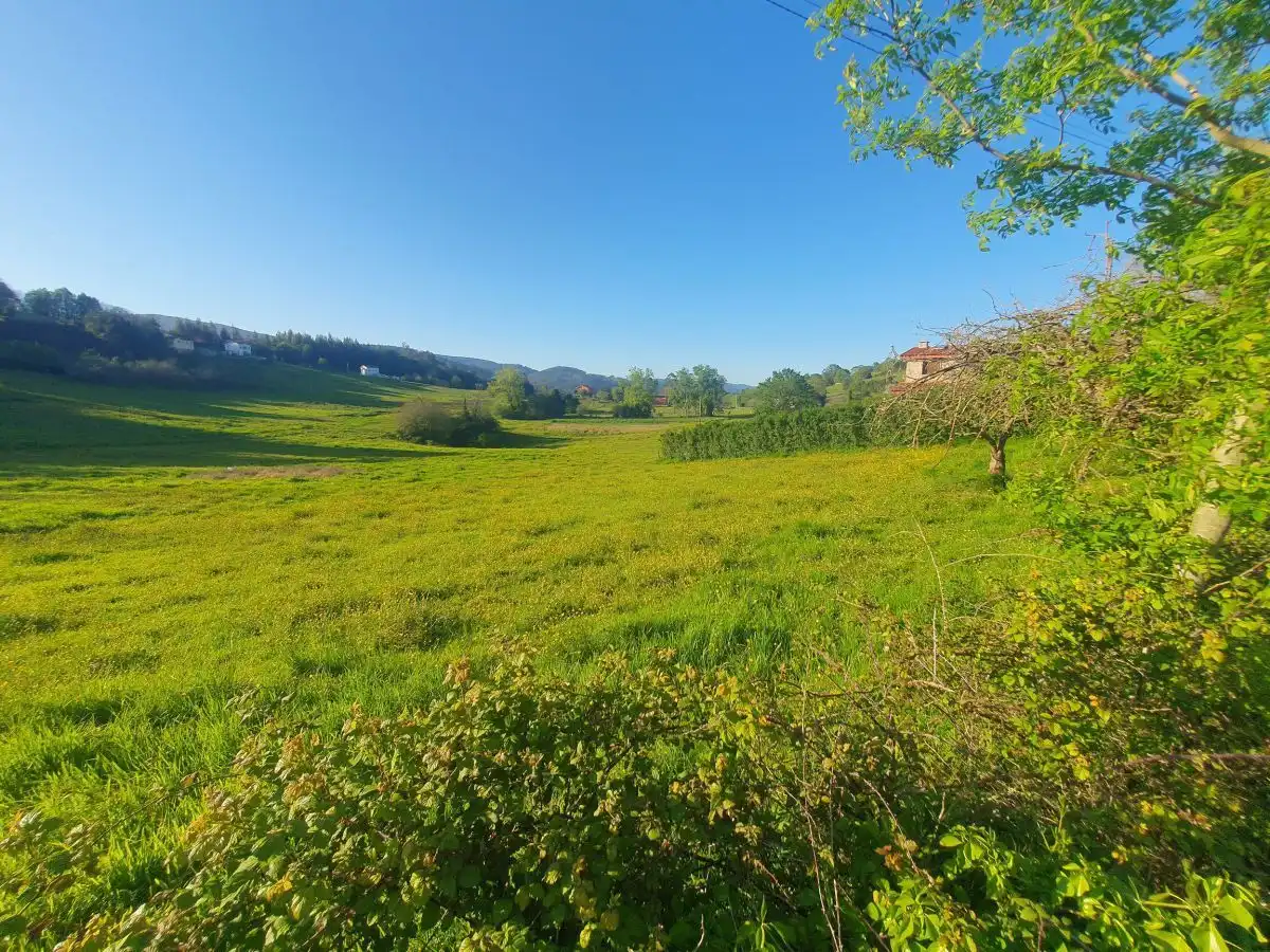 Terrenos y solares en venta en Salas, imagen 3