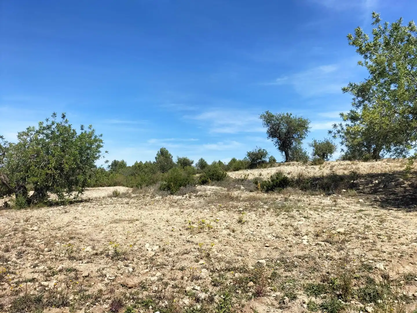 Terreno rustico in vendita a Navarrés, imagen 6