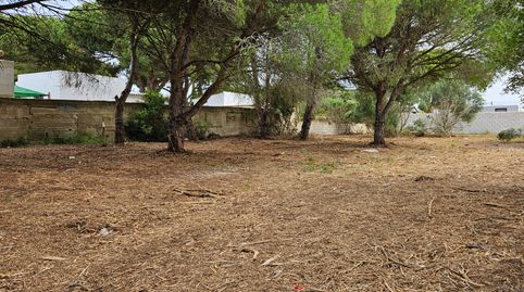 Foto 5 de Terreny en venda a Las Lagunas - Campano, Chiclana de la Frontera