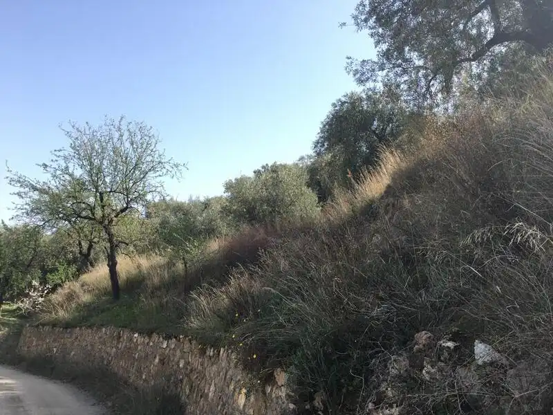 Grundstücke und Bauplätze zum Verkauf in Gamonal. Huercal-Ugíjar, imagen 7