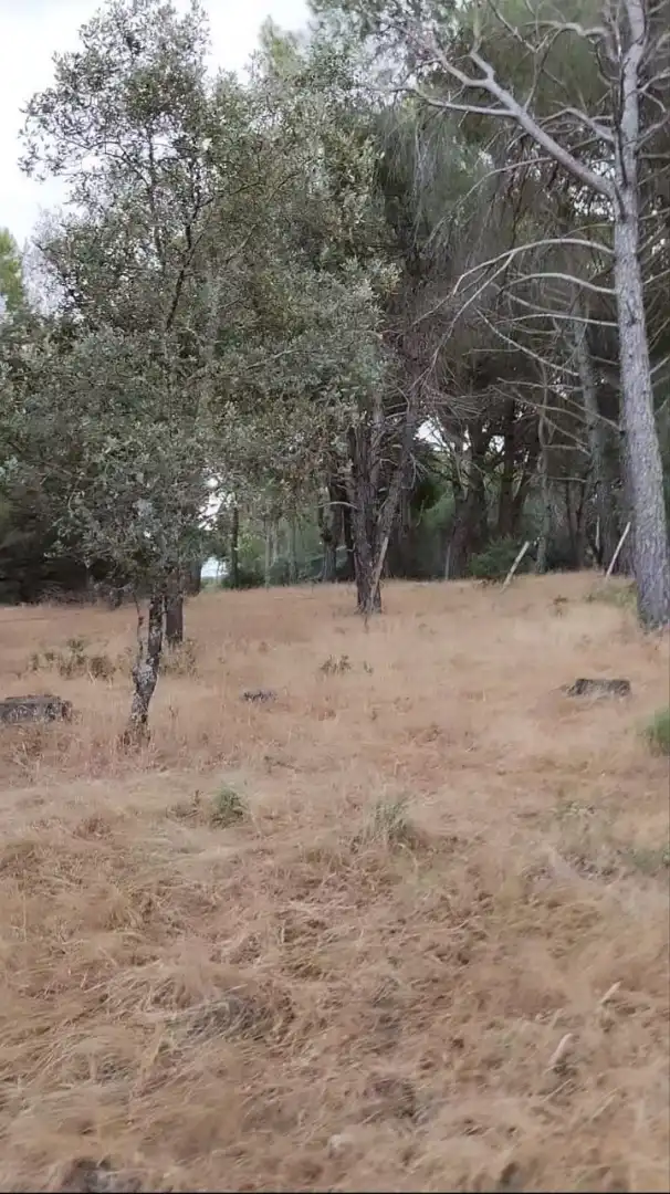 Terreni e lotti in vendita a La Adrada, imagen 5
