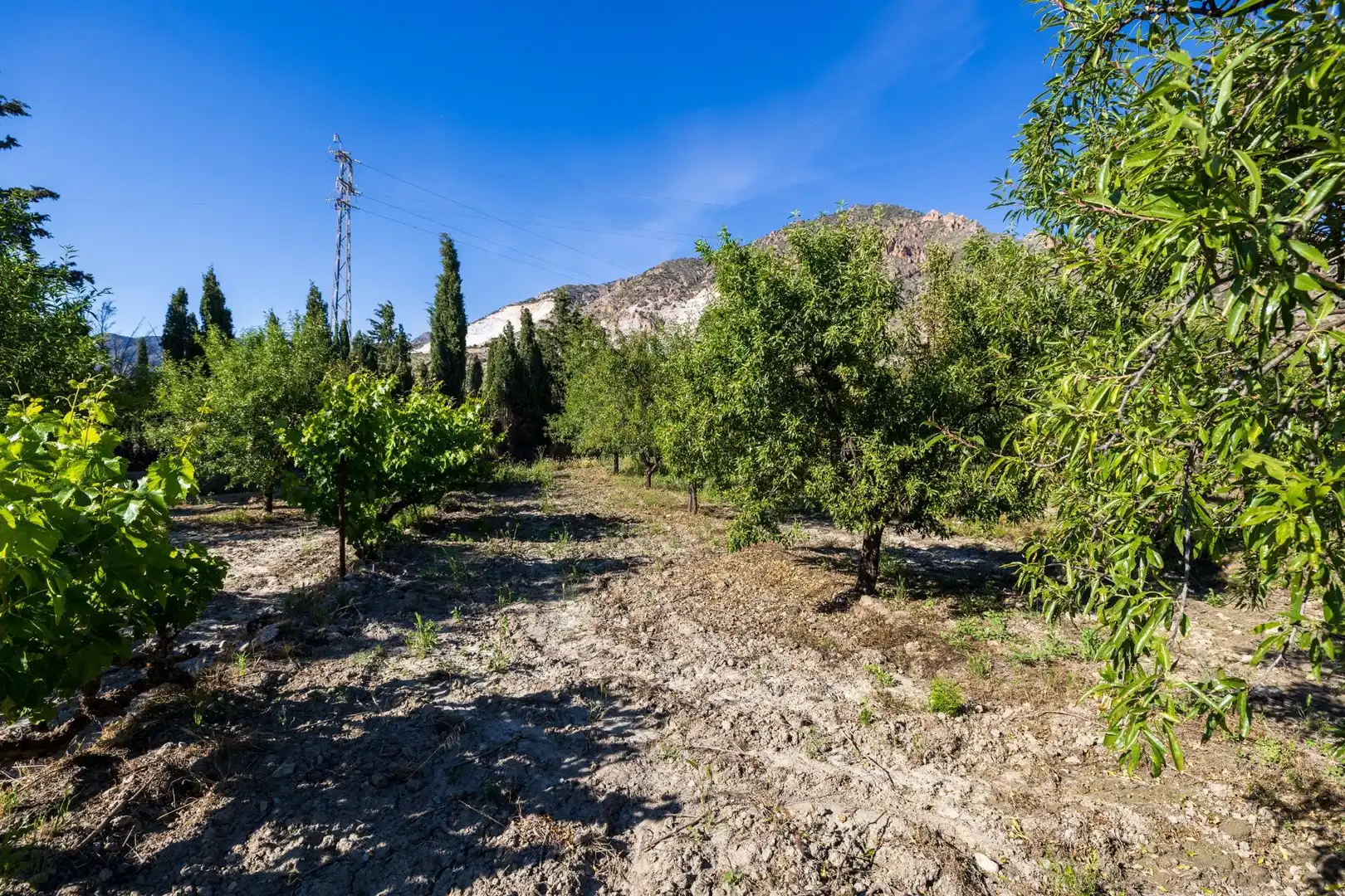 Rural land for sale in Dúrcal, imagen 24