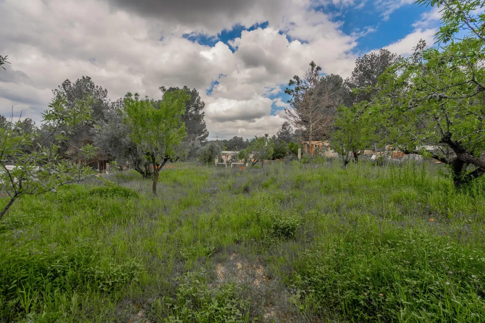 Country homes for sale in Jérica