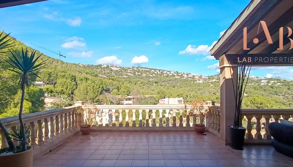 Photo 1 of Attic for sale in Port d'Andratx, Illes Balears