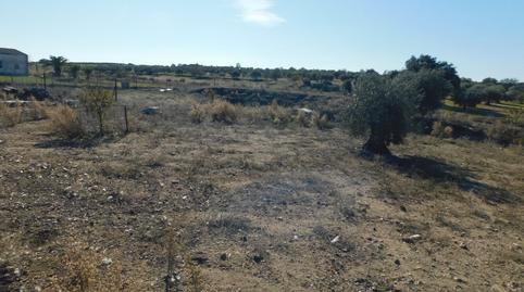 Foto 5 de Casa o xalet en venda a La Haba , Badajoz