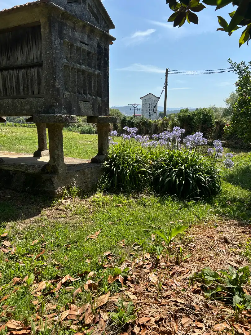 Jardí de Casa o xalet en venda en Meis amb Jardí privat, Traster i Piscina