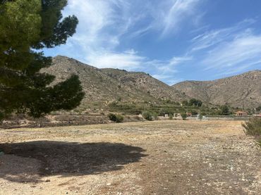 Terrenos y solares en venta en Novelda