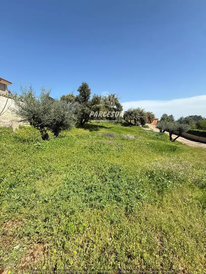 Casa o xalet en venda a El Brillante -El Naranjo - El Tablero