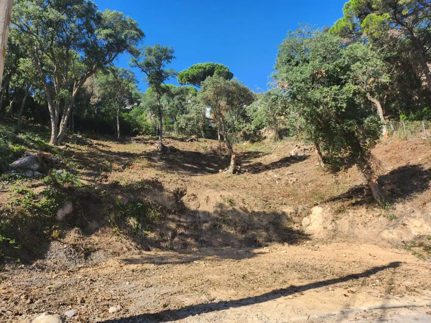 Terreny residencial en venda a avinguda dels osells 47, imagen 6