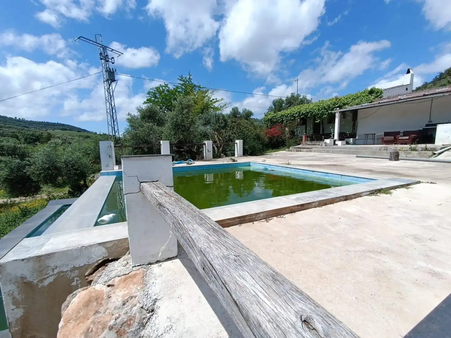 Swimming pool of Residential for sale in Prado del Rey