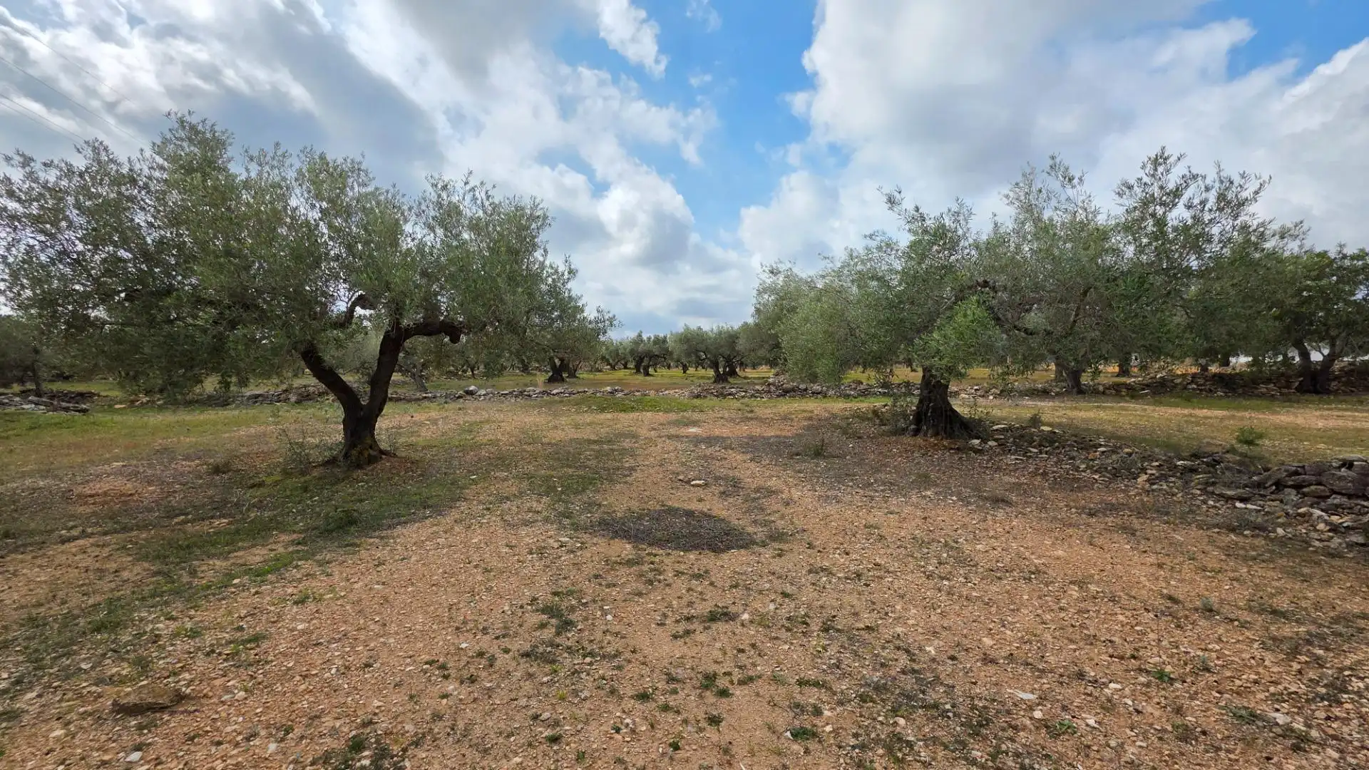 Maison rustique avec jardin à vendre à L'Ametlla de Mar pueblo, imagen 38
