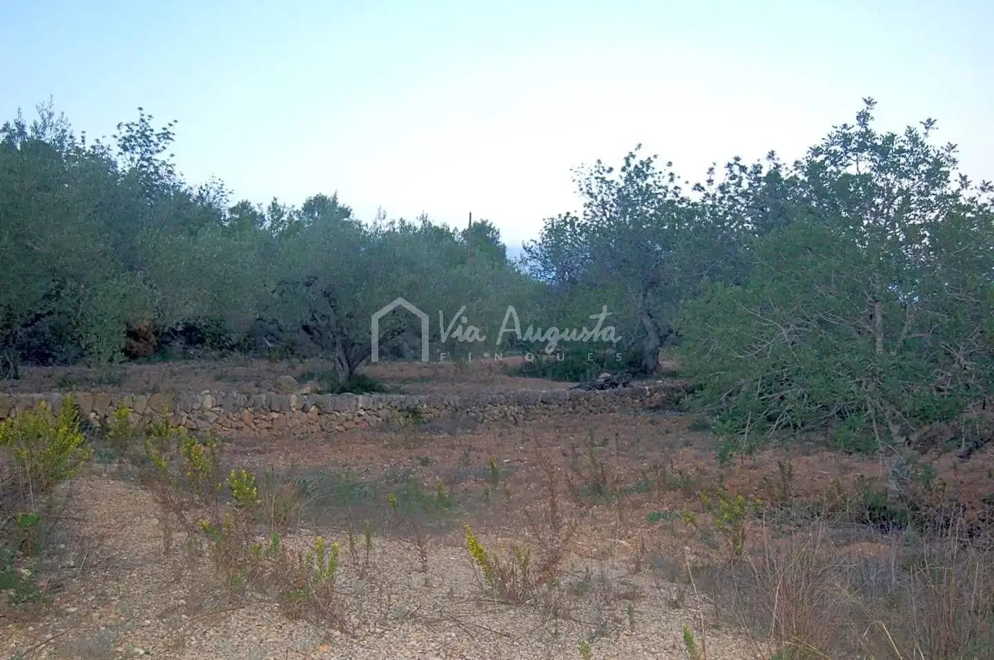 Terreno rustico in vendita a Suis, imagen 7