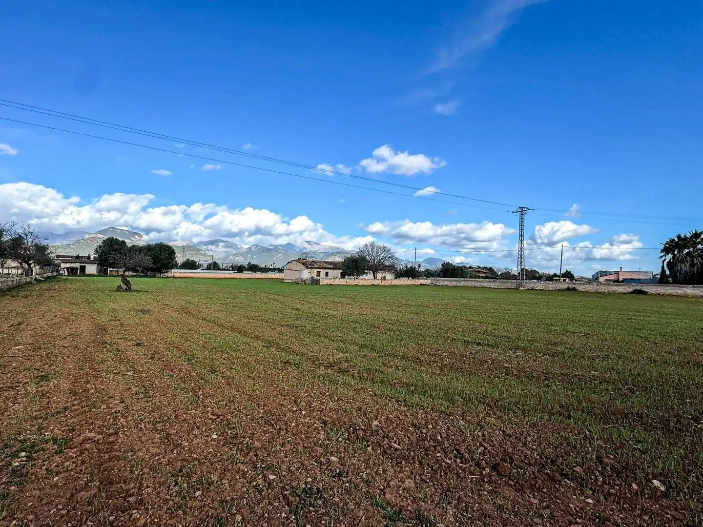 Terreno industrial en venta en Binissalem