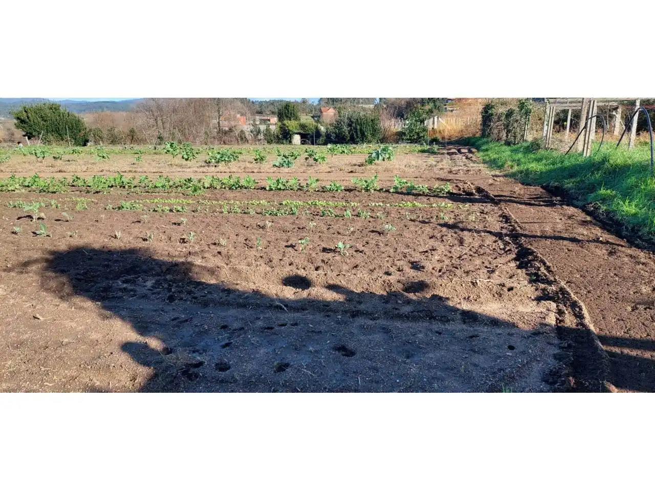 Terreno rustico in vendita a Ribadumia, imagen 9