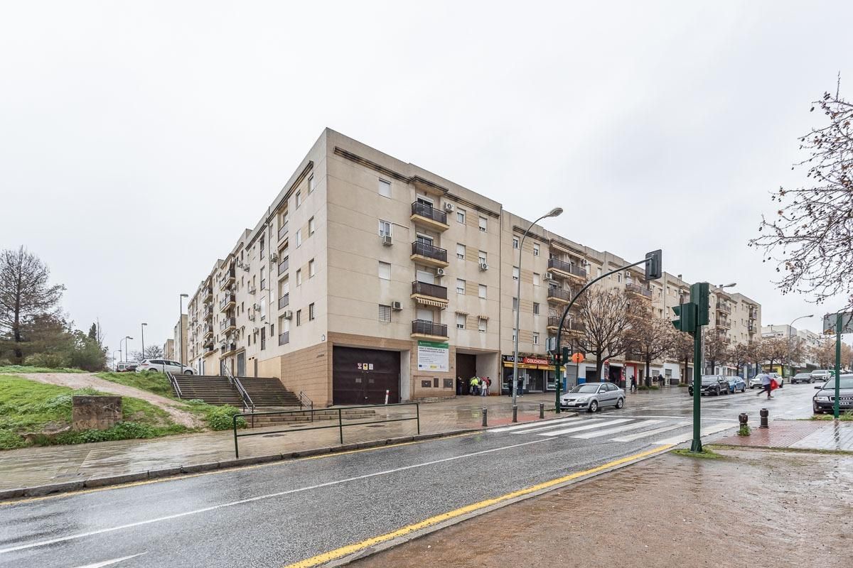 Vista exterior de Piso en venta en  Granada Capital