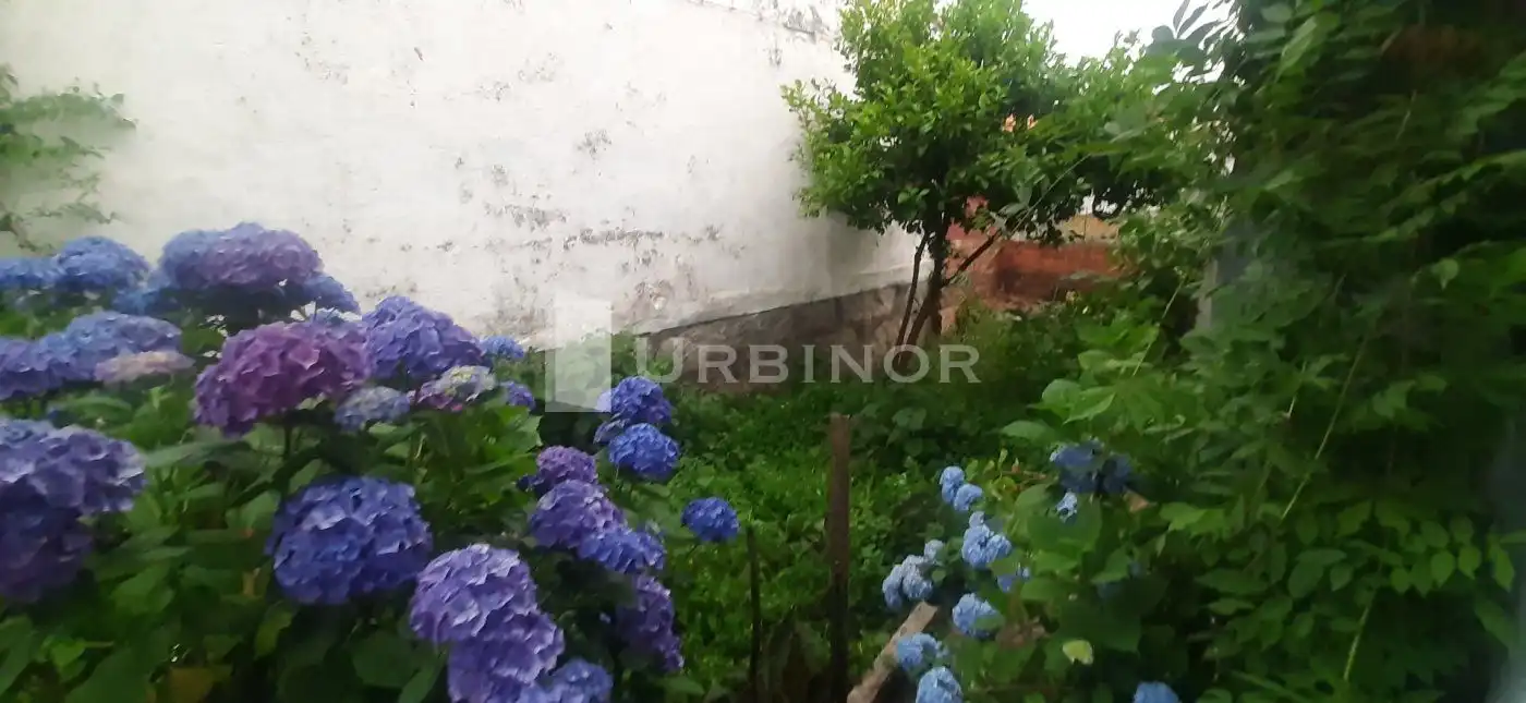 Casa rústica amb jardí en venda a Ribadavia, imagen 7