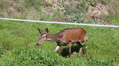 Foto 4 de Casa o xalet en venda a Avenida Andalucia, Zahara, Cádiz