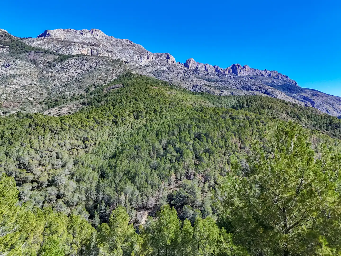 Terreny residencial en venda a Altea la Vella, imagen 45