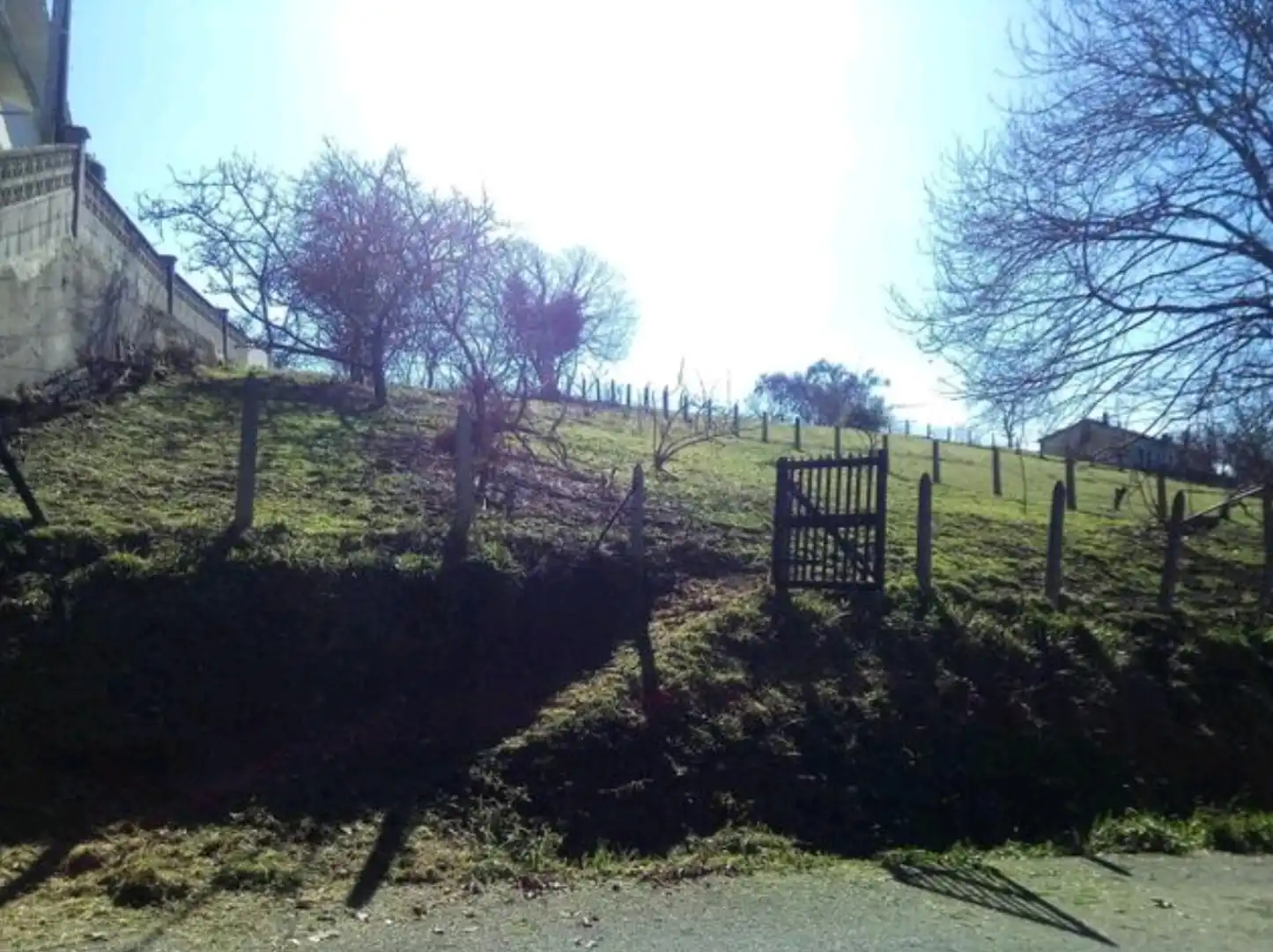 Land for sale in Ciaño - Zona Rural
