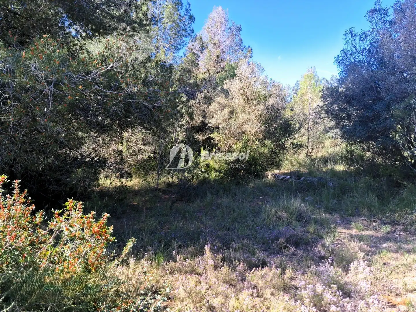 Rural land for sale in La Secuita, imagen 8