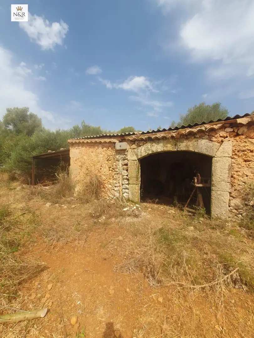 Finca rústica en venta en Sencelles