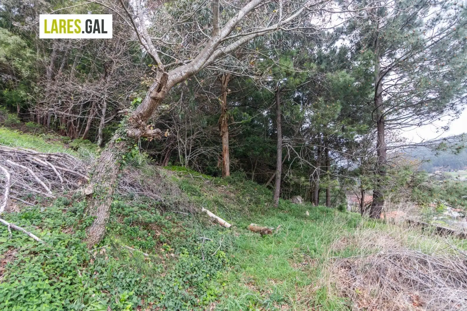 Residential land for sale in Rúa Ourelo, imagen 12