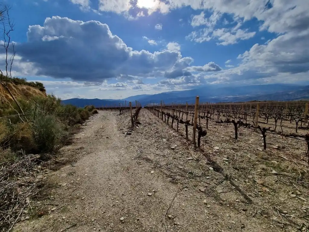 Terreni e lotti in vendita a Nevada, imagen 30