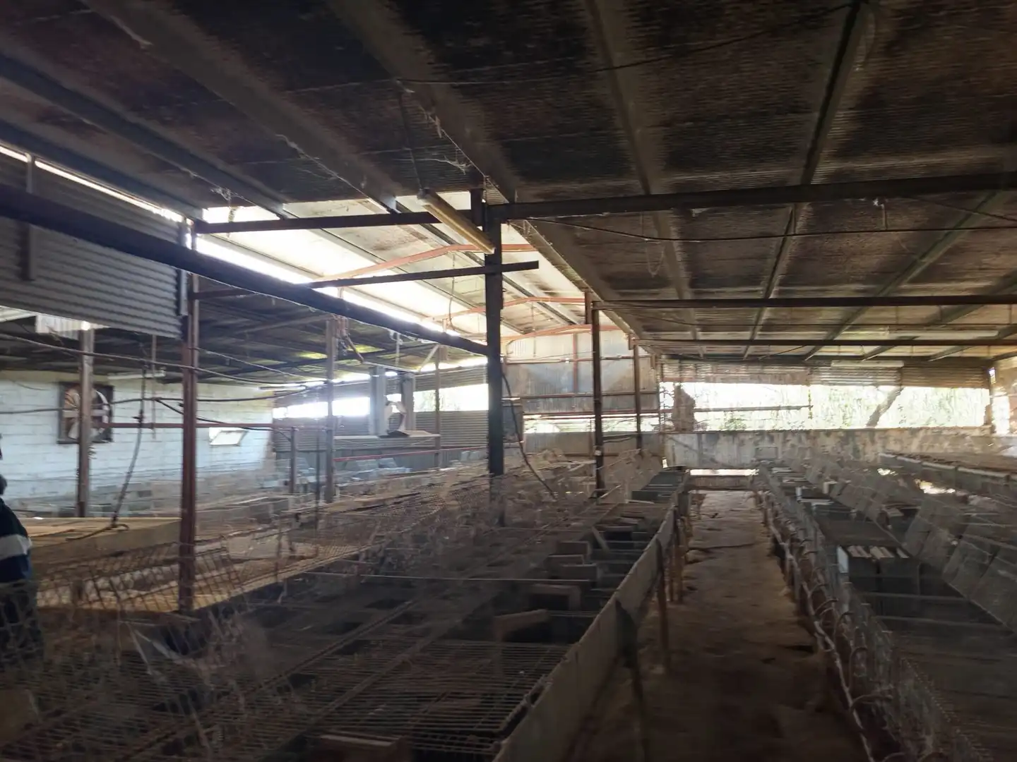 Nave industrial en venta en Fuente Álamo de Murcia