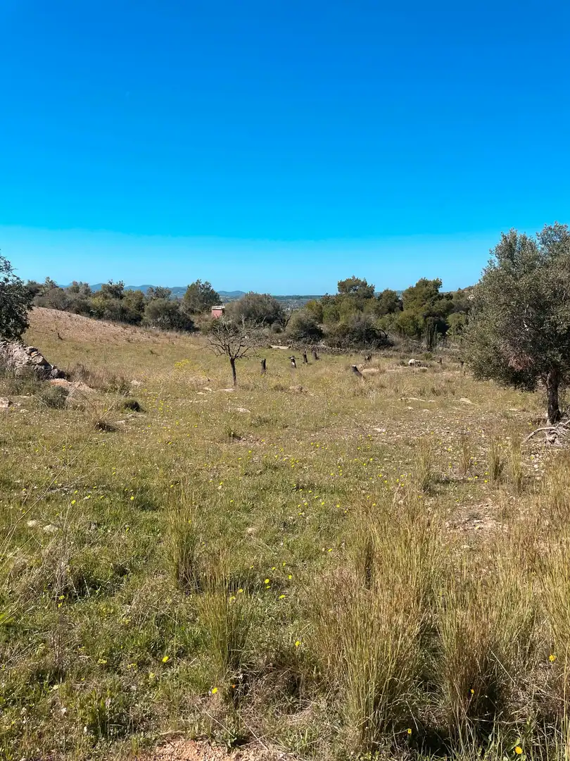 Rural land for sale in Sant Llorenç des Cardassar, imagen 3