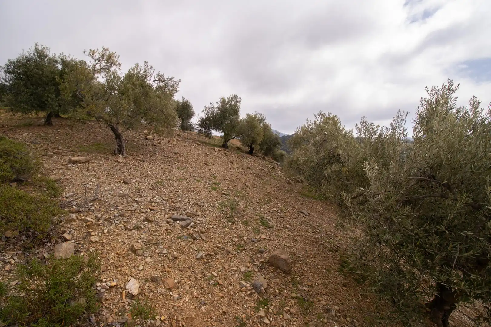 Casa o xalet en venda en Canillas de Albaida