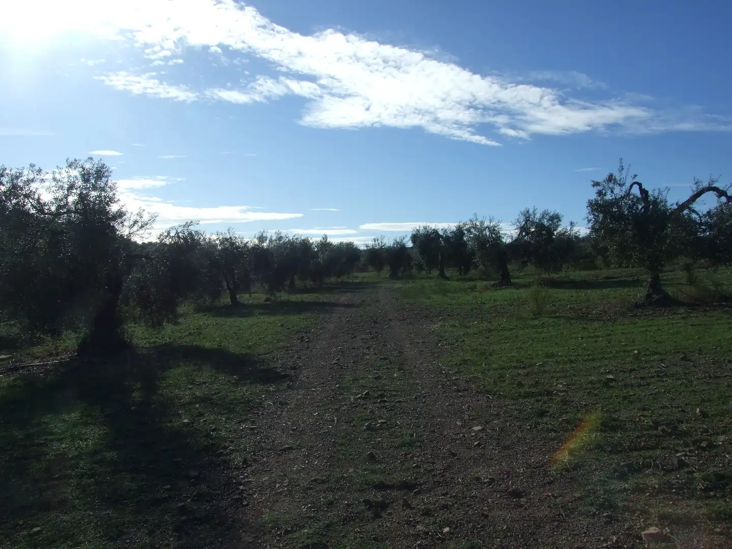 Terreno en venta en Calzadilla de los Barros