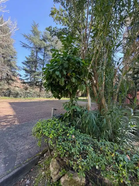 Jardín de Piso en venta en Madrid con Aire acondicionado, Calefacción y Parquet