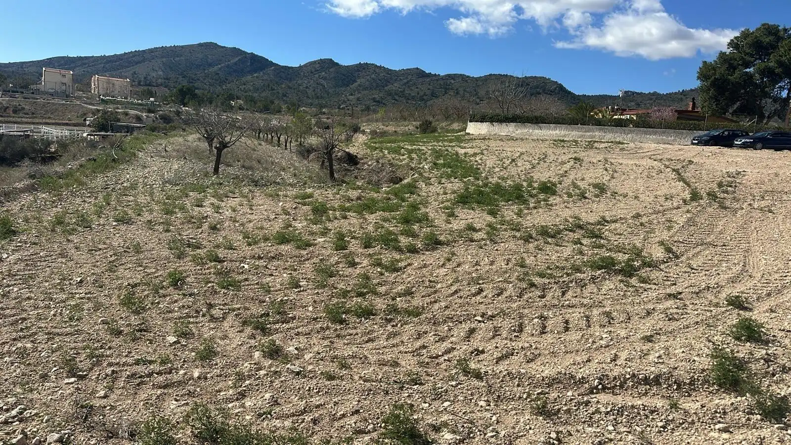 Terreno rustico in vendita a Las Trescientas - San Francisco - Ciudad Vergel, imagen 6