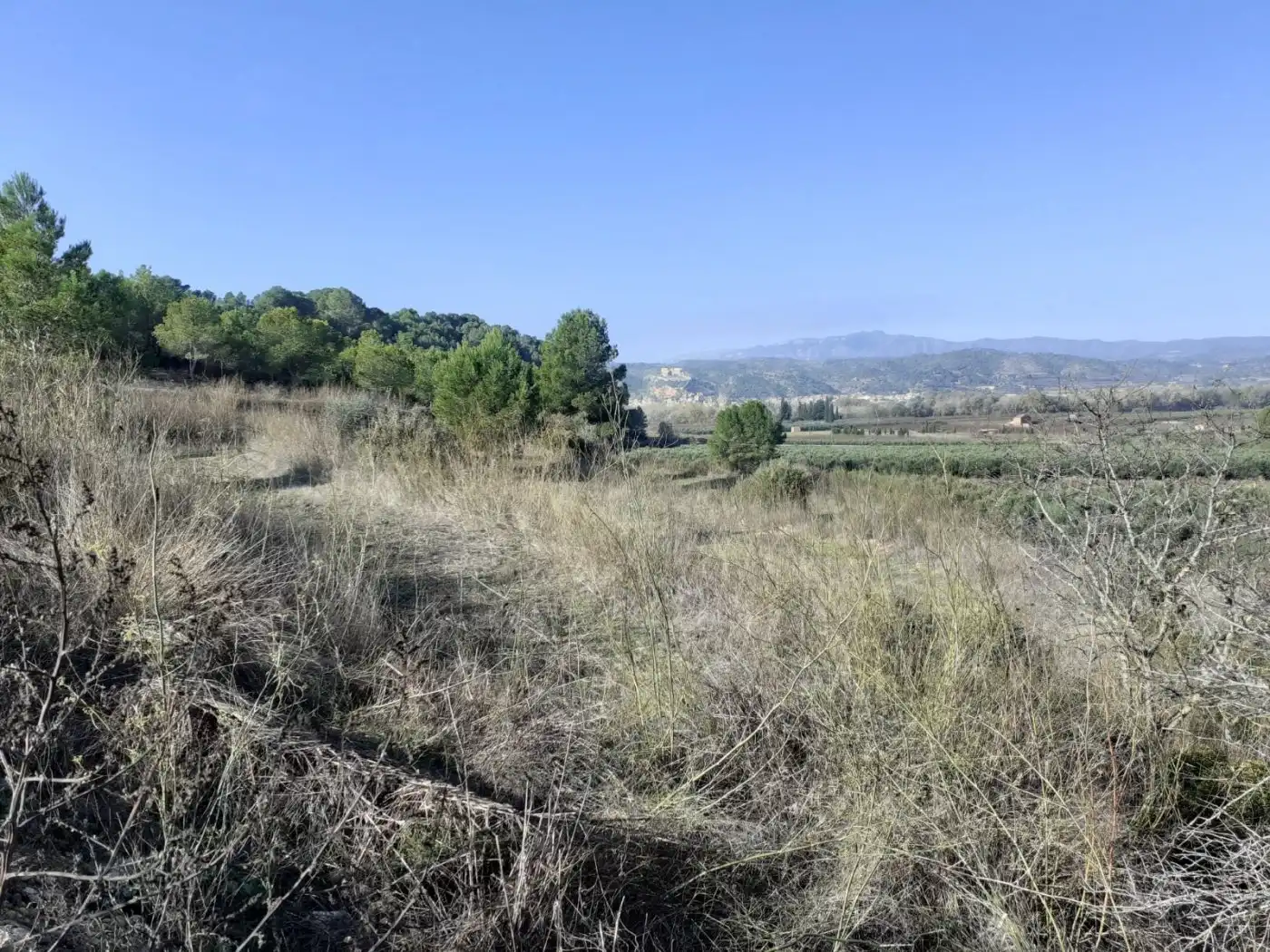 Finca rústica en venda en Ginestar