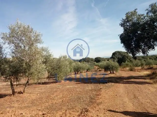 Terreny residencial en venda a Villanueva del Duque, imagen 14