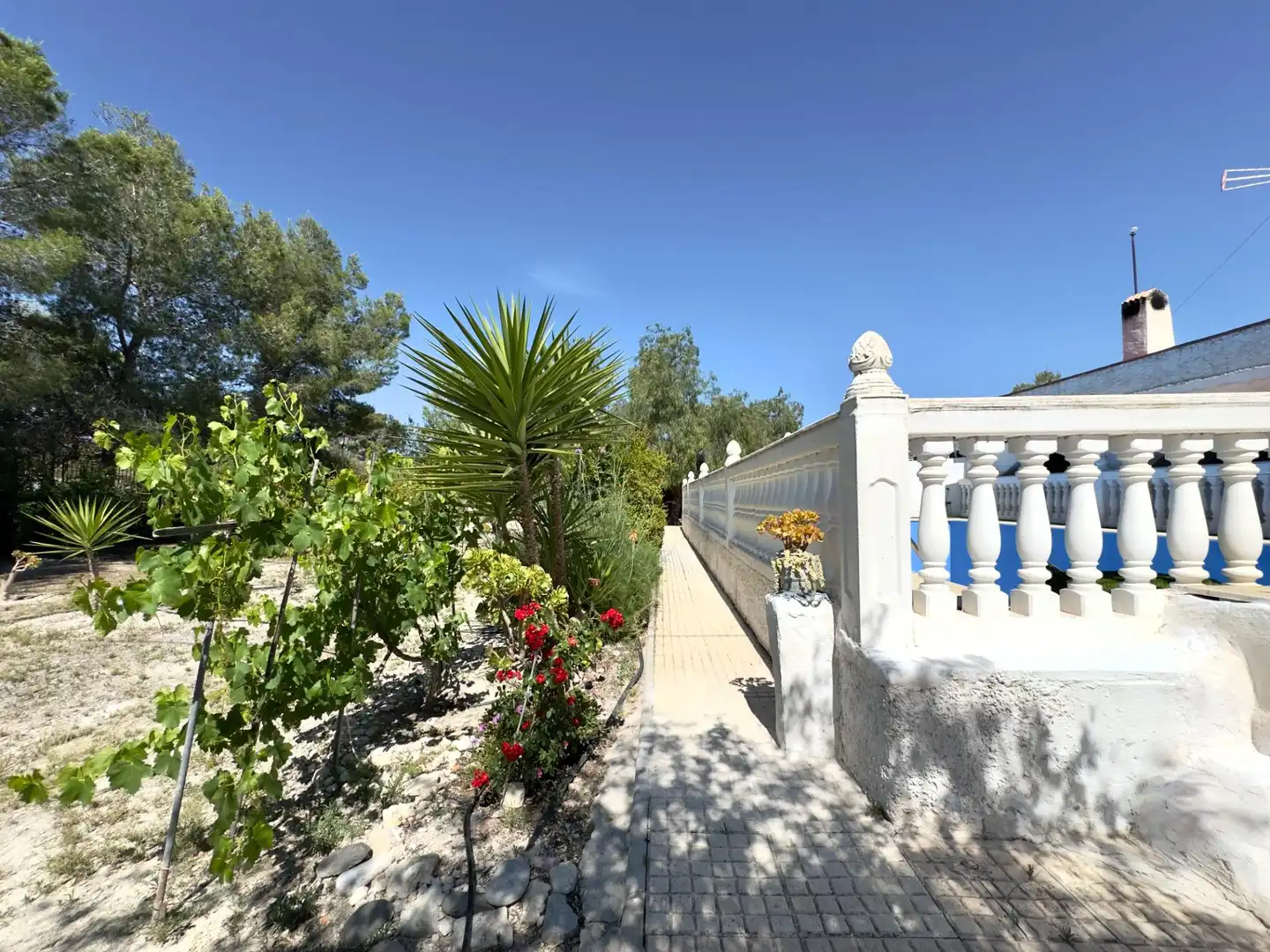 Jardín de Casa o chalet en venta en Aspe con Calefacción, Jardín privado y Terraza