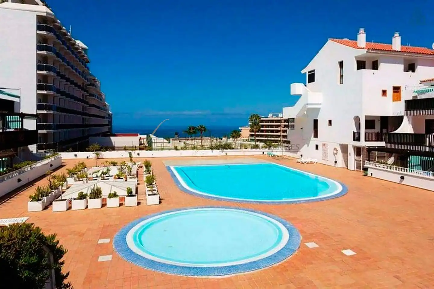 Apartament amb piscina en venda a Avenida Ernesto Sarti