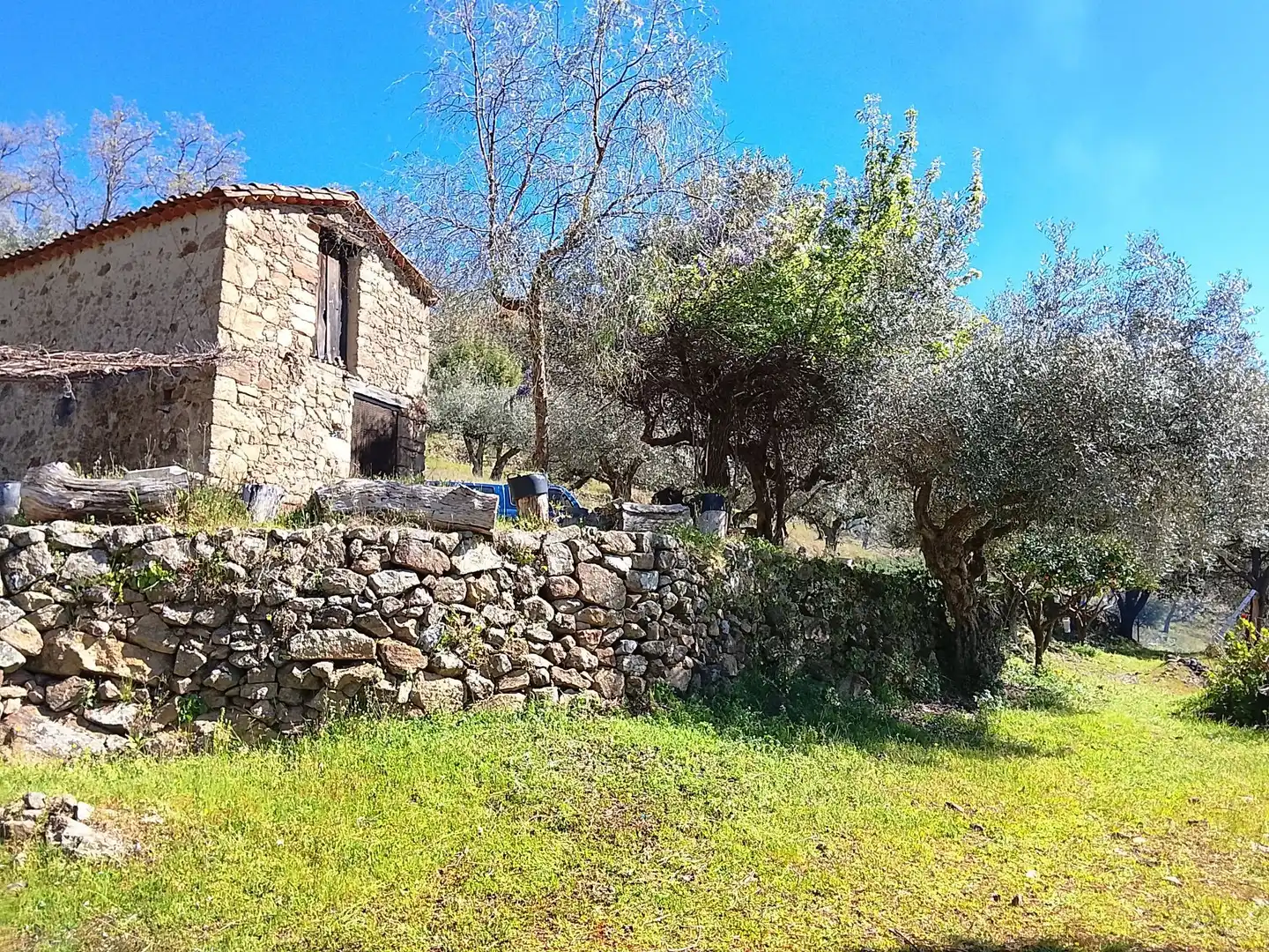 Terreni e lotti in vendita a Candeleda, imagen 2