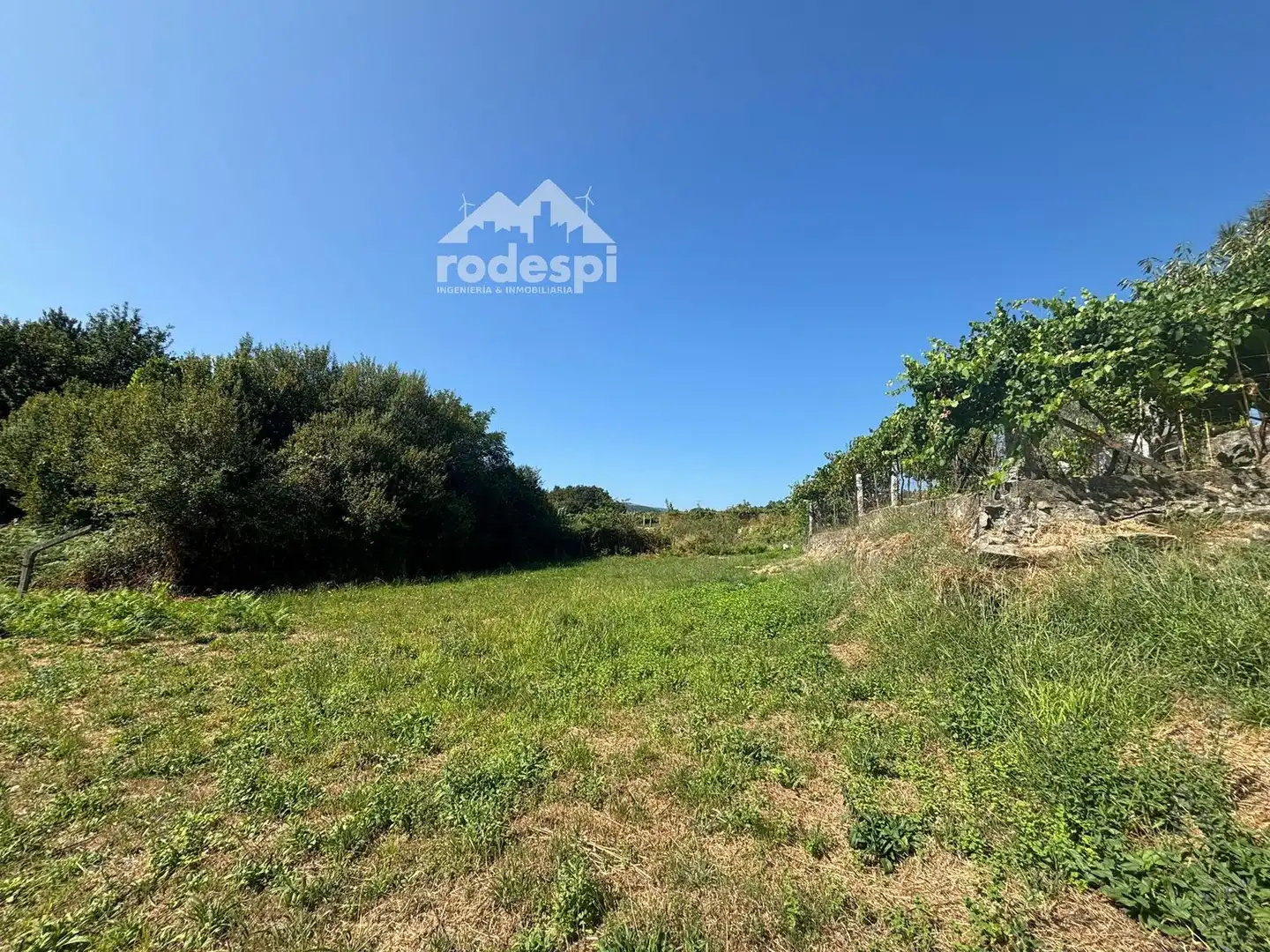 Houses for sale in Arbo