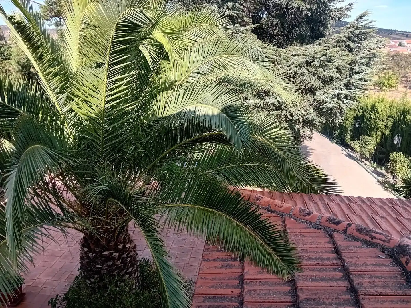 Jardín de Casa o chalet en venta en Picón con Aire acondicionado, Calefacción y Jardín privado