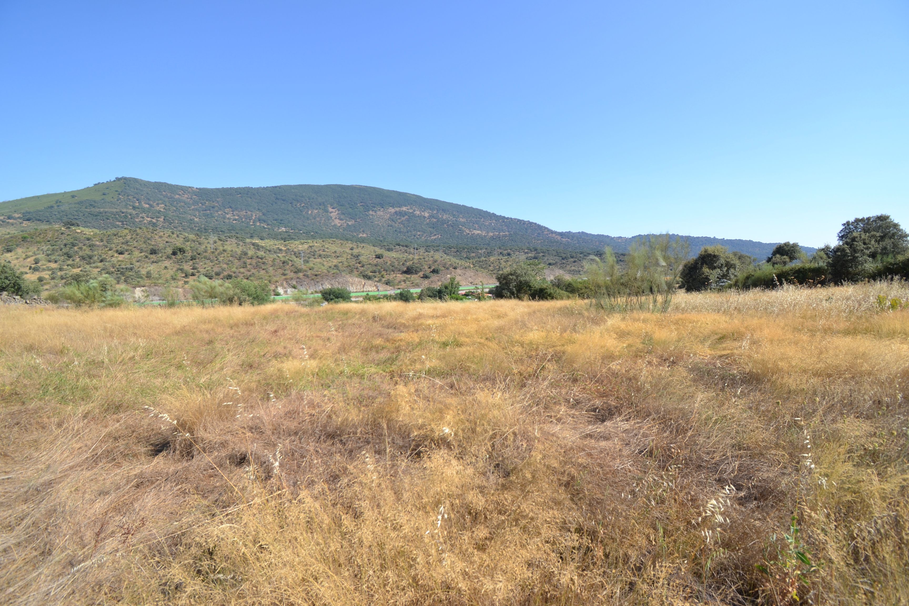 Grundstücke zum verkauf in Oliva de Plasencia