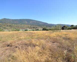 Land for sale in Oliva de Plasencia