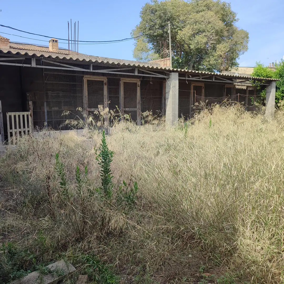 Terreny residencial en venda a Carrer de Bonany 8, imagen 10